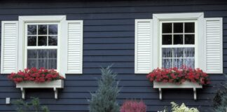 new windows
