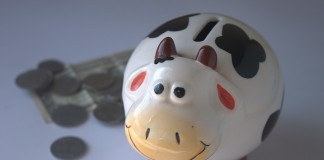 piggy bank 390528 1280 1 e1468006205624