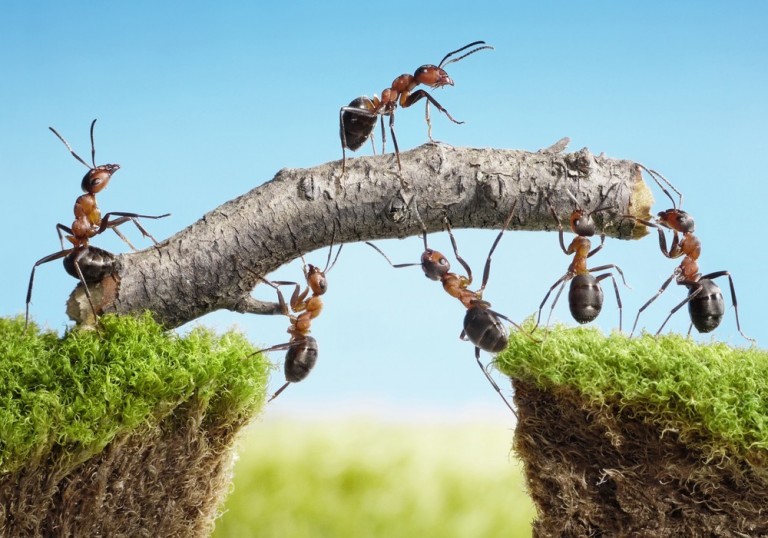 6 Unconventional Ways to Build a Strong Team at Your Startup