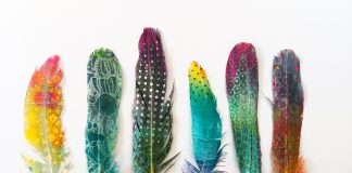 IG Gelli printed feathers birgit koopsen e1517342110707