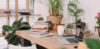 Laptop on wooden table with potted plants in workspace