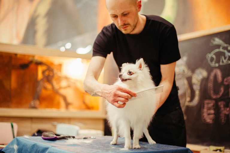 dog grooming business