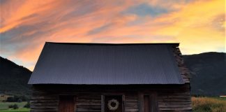 garden shed in backyard