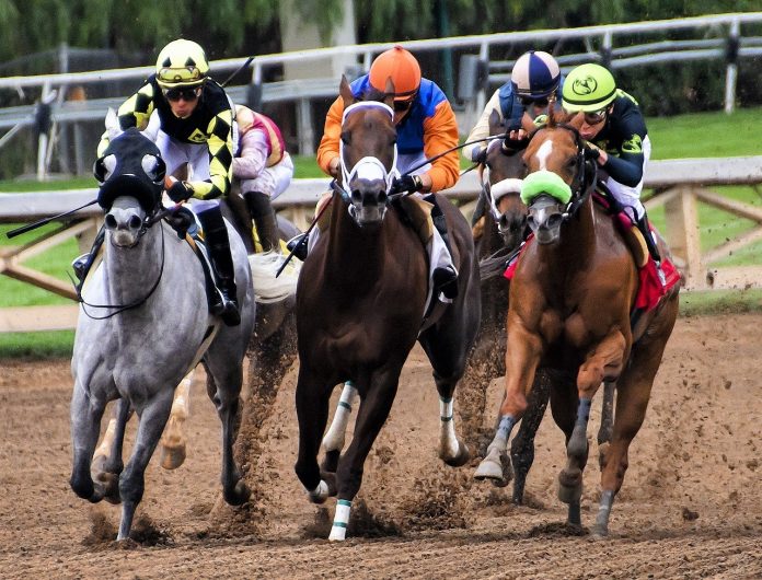 horses racing in stadium