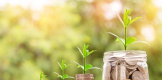 Stacks of coins with a plant at the tip increasing in size