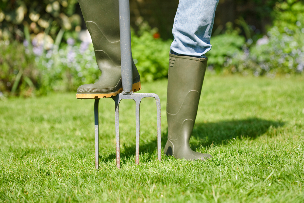 lawn aeration business