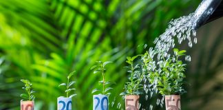 Water Being Poured On Plants Wrapped With Euro Bills