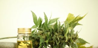 cannabis cbd product oil