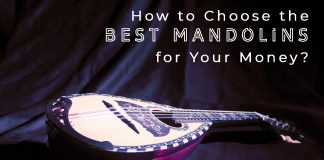 How to Choose the Best Mandolins for Your Money?