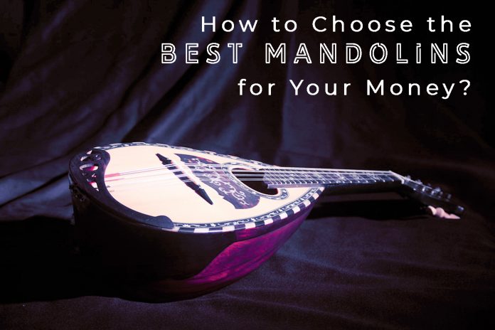 How to Choose the Best Mandolins for Your Money?