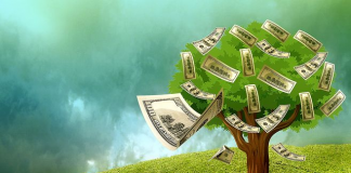 Money growing on tree