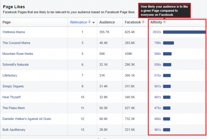 Facebook Audience Insights