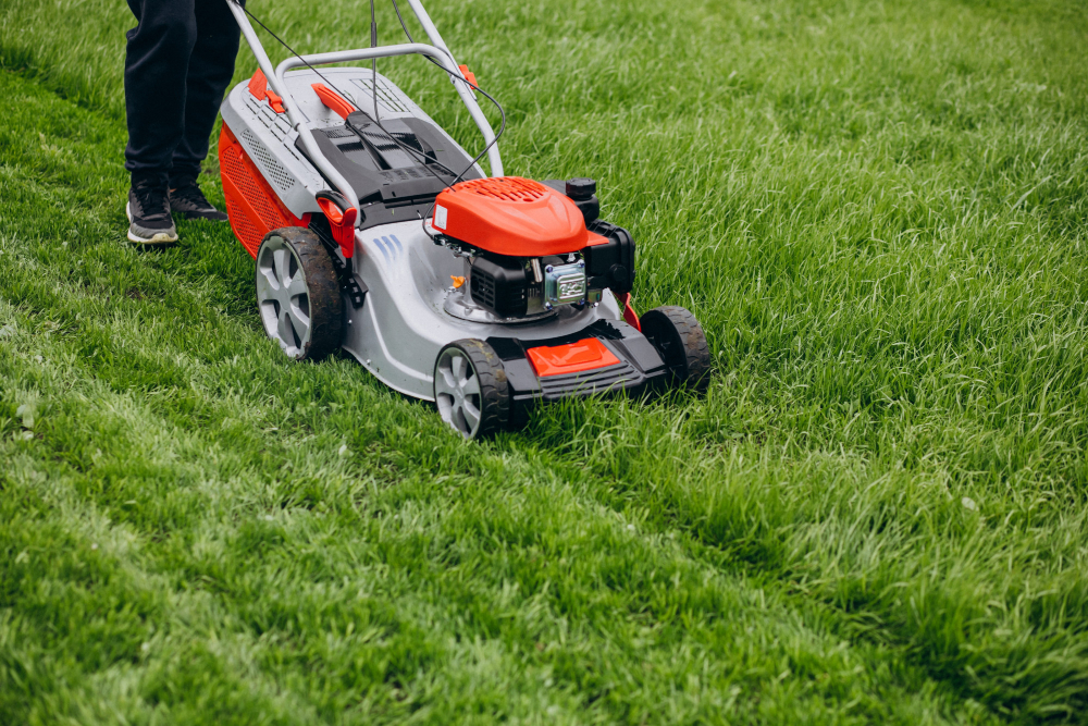 artificial grass