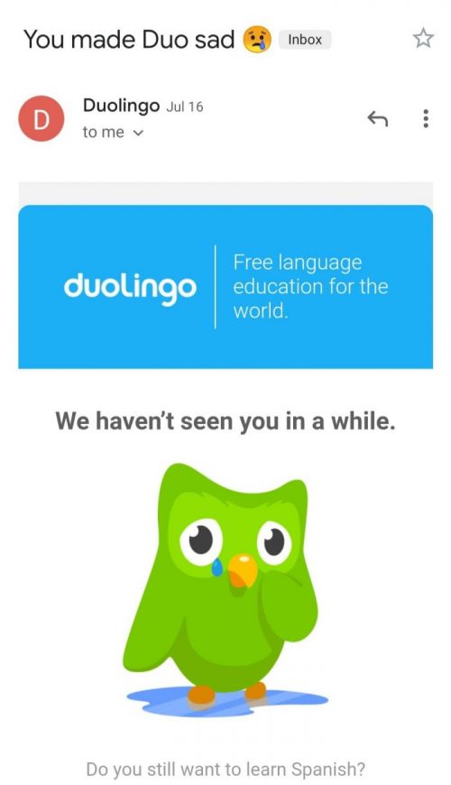 Duolingo sample