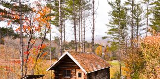 Wooden House