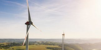 Why Businesses Should Use Renewable Energy