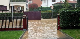 Flooded Yard