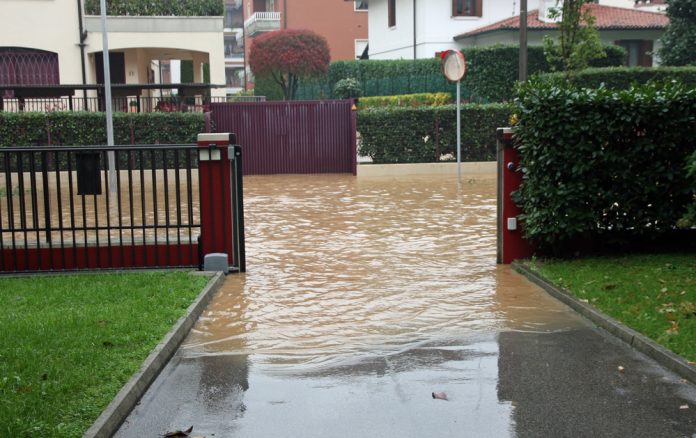 Flooded Yard