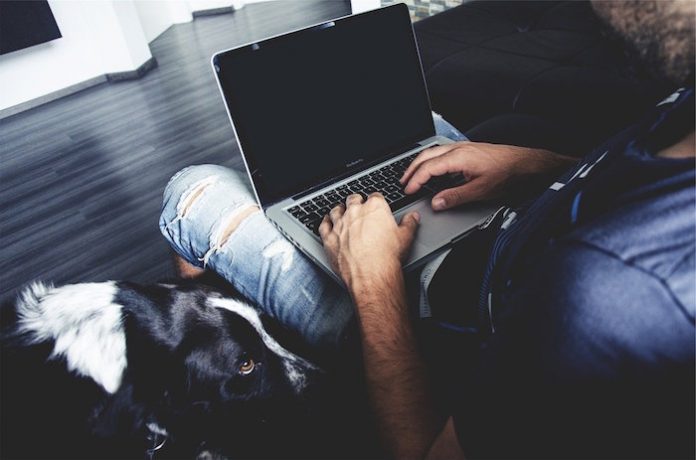 Remote worker with dog