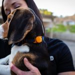 Home Office Setup – Summer 2020 Product Guide Huan Pet Locator