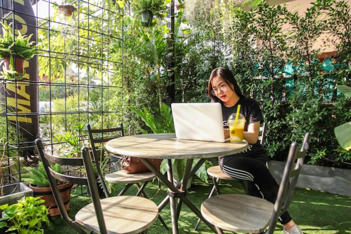 Woman Working on Laptop Outdoors