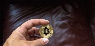 Person Holding Bitcoin