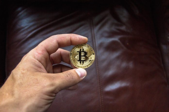 Person Holding Bitcoin
