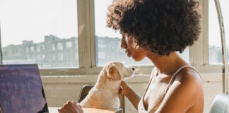 Woman Working from Home with Dog