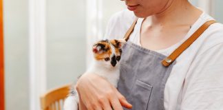 Woman Holding Kitten in Cafe