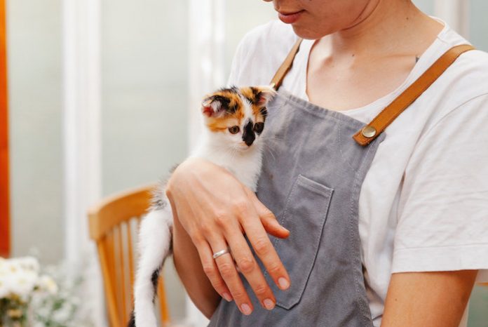 Woman Holding Kitten in Cafe