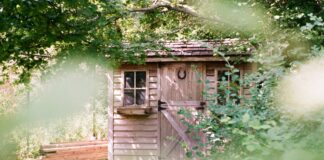 Shed in Backyard