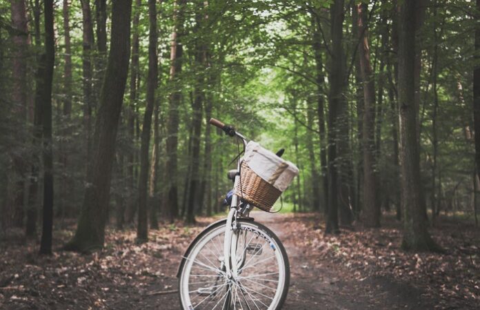 Bicycle in Nature