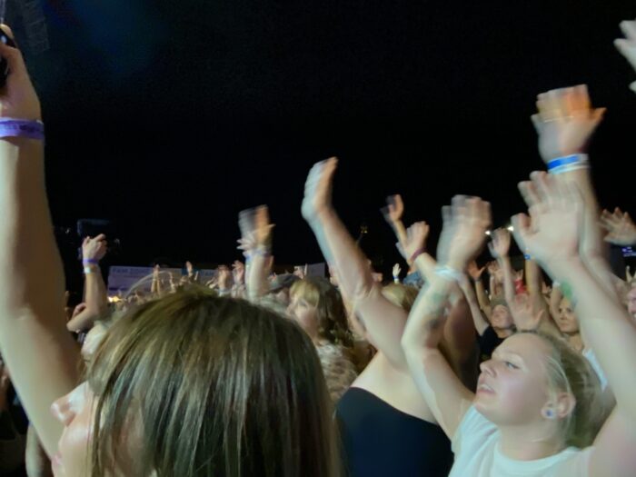 Festival-goers enjoying the show