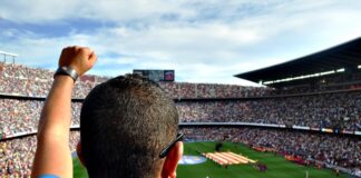 Person at Sports Game