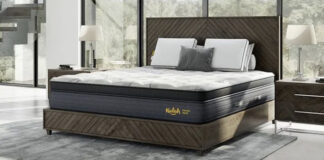 Nolah Mattress 1