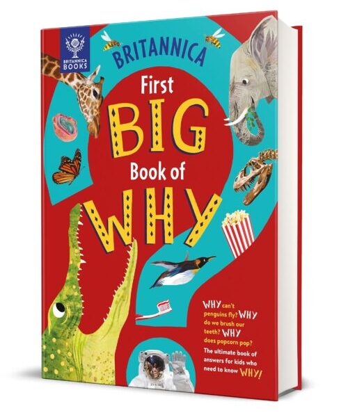 First Big Book of Why
