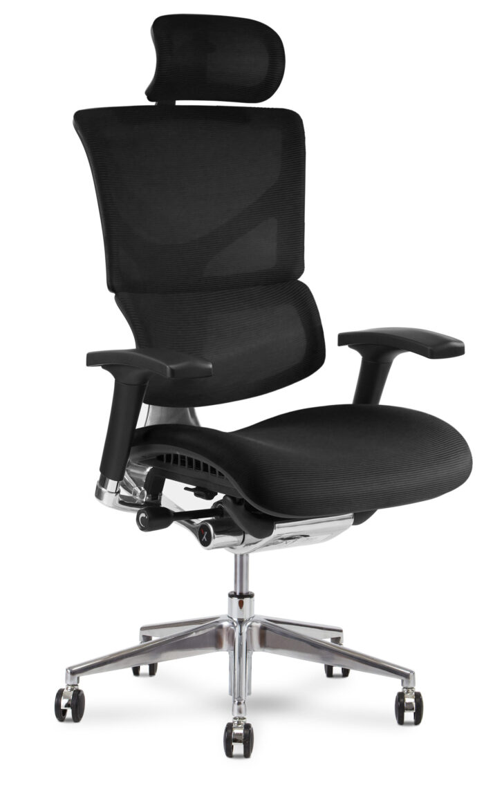 X-Chair Ergonomic Office Chair