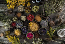Herbs medicine