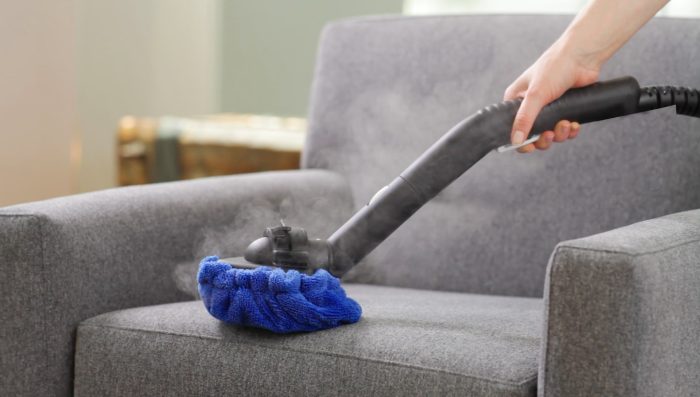 NEAT Steam Cleaner