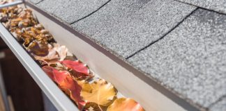 fall foliage in gutters