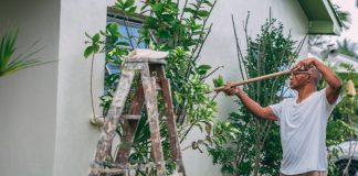 Person Painting a House