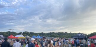 Summer Beer Dabbler 1