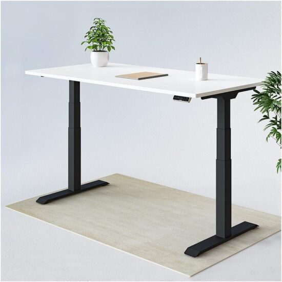FlexiSpot's Pro Plus Standing Desk (E7)