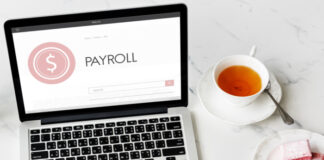 payslip software