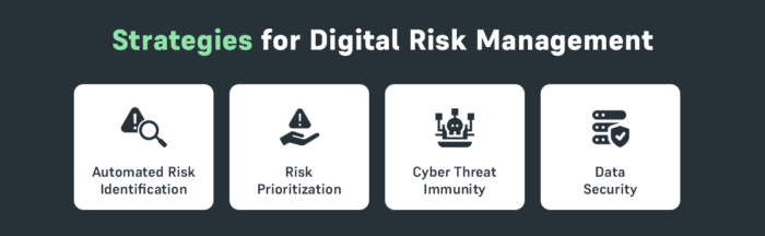 Strategies for Digital Risk Management
