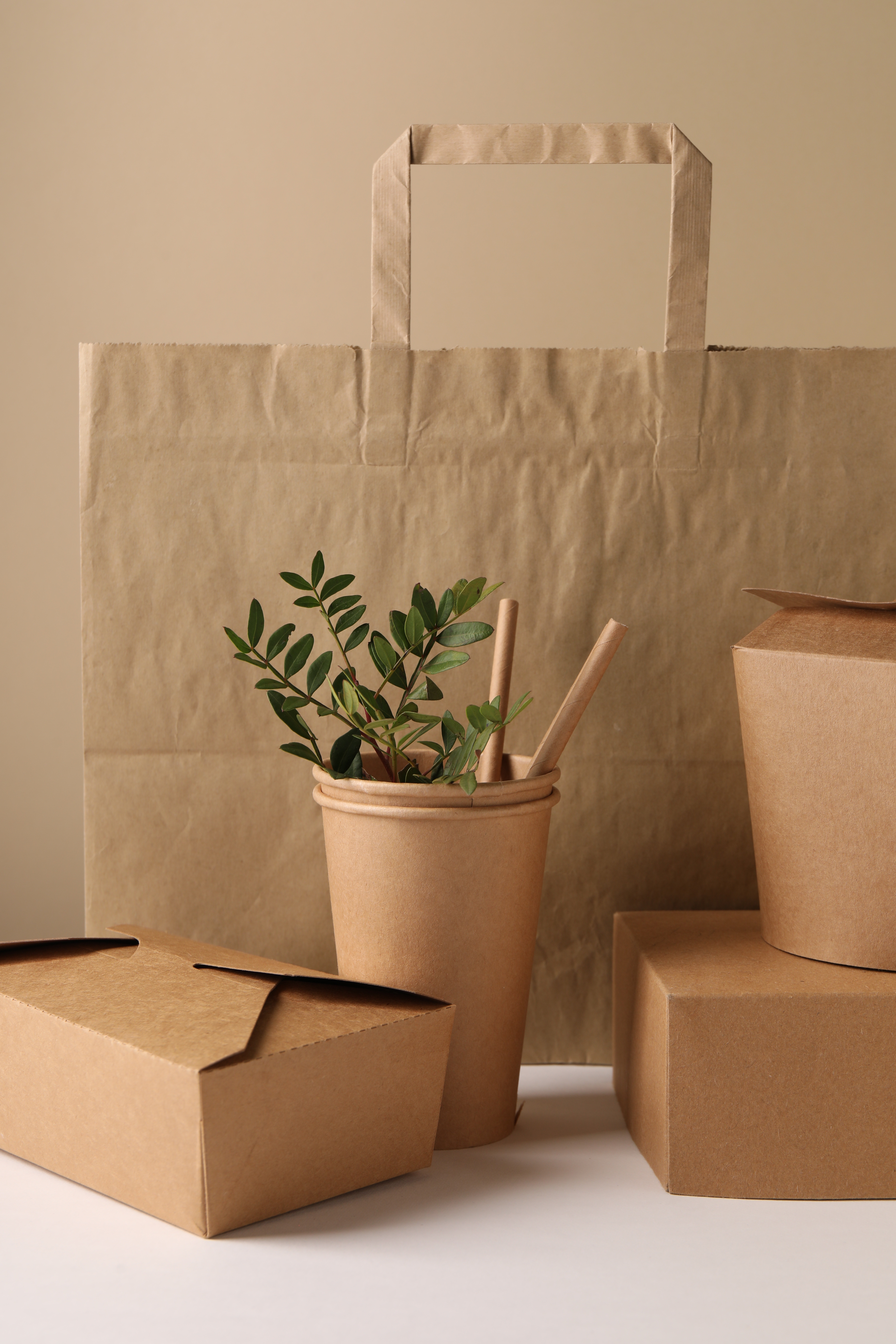 eco-friendly-food-packaging-paper-containers-bag