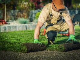 Starting Your Landscaping Service