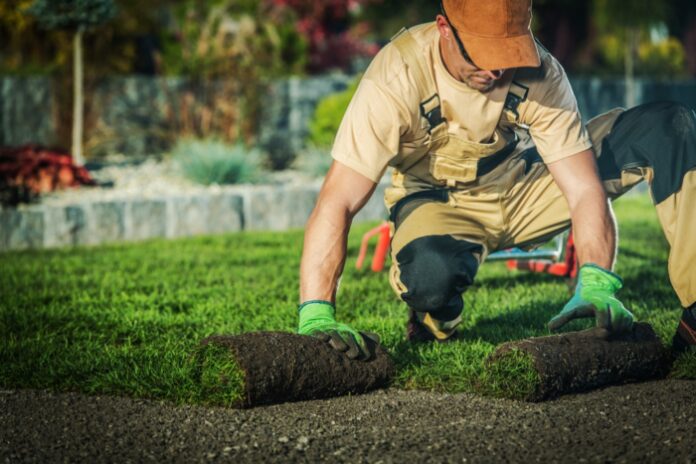 Starting Your Landscaping Service