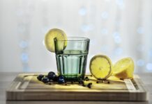 Plymouth Gin