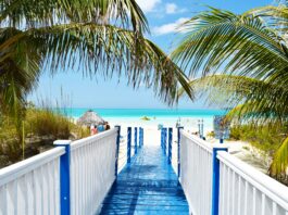 Dominica-and-St-Kitts